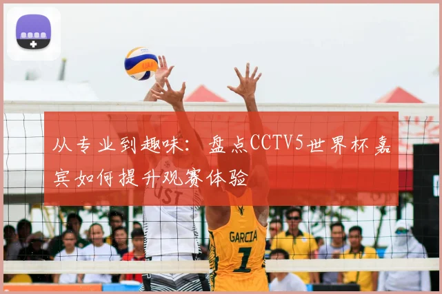从专业到趣味：盘点CCTV5世界杯嘉宾如何提升观赛体验