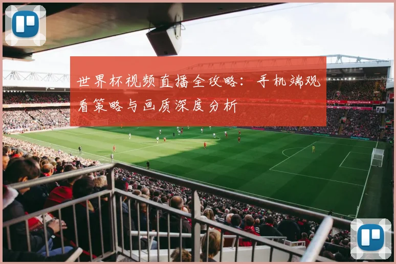世界杯视频直播全攻略：手机端观看策略与画质深度分析
