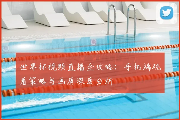 世界杯视频直播全攻略:手机端观看策略与画质深度分析