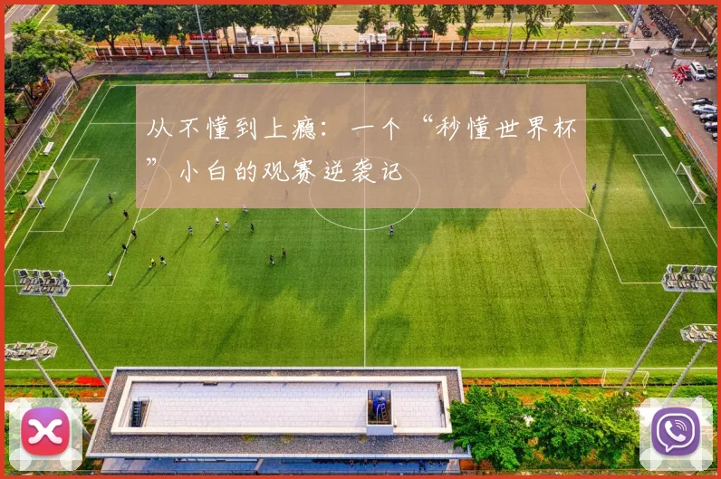 从不懂到上瘾：一个“秒懂世界杯”小白的观赛逆袭记