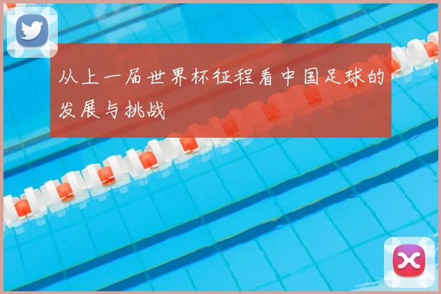 从上一届世界杯征程看中国足球的发展与挑战