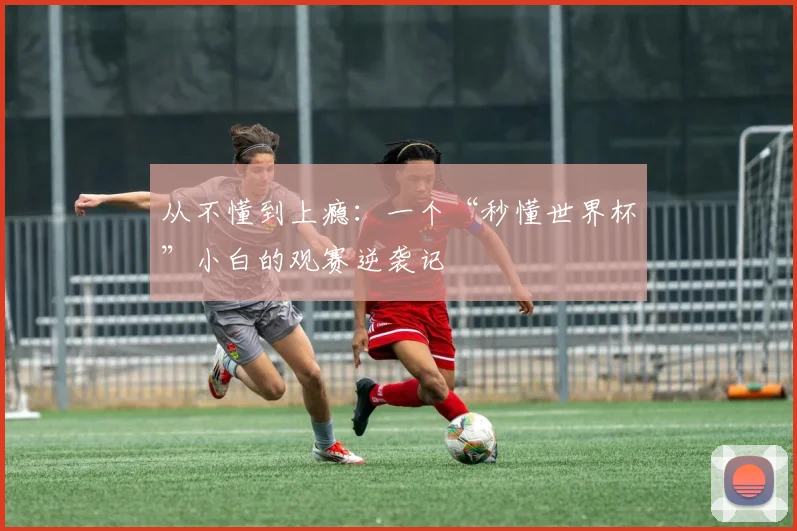 从不懂到上瘾：一个“秒懂世界杯”小白的观赛逆袭记