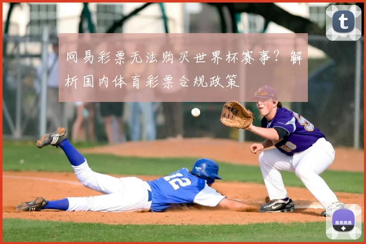 网易彩票无法购买世界杯赛事？解析国内体育彩票合规政策