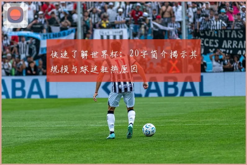 快速了解世界杯：20字简介揭示其规模与球迷狂热原因