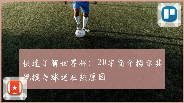 快速了解世界杯：20字简介揭示其规模与球迷狂热原因